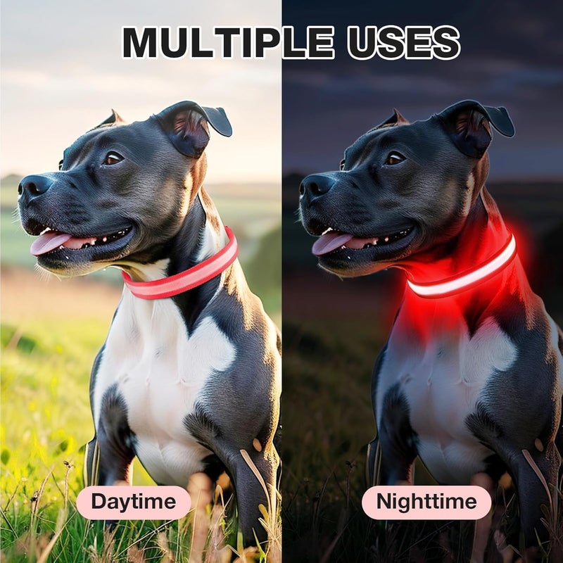 PcEoTllar Light up Dog Collar for Night Walking - LED Dog Collar Light Rechargeable Color Changing, Glow in The Dark Dog Collars Waterproof Glowing Dog Collars for Large Small Medium Dogs - Image 5